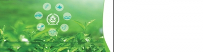 خبرنامه الکترونیکی