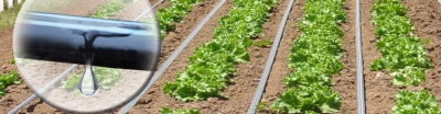 فراخوان ثبت نام دوازدهمین آزمون طراحی و اجرای سامانه های آبیاری تحت فشار