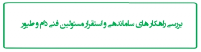 بررسی راهکار های ساماندهی و استقرار مسئولین فنی دام و طیور