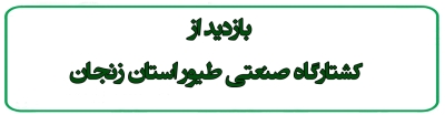 بازدید ازکشتارگاه صنعتی طیور استان زنجان